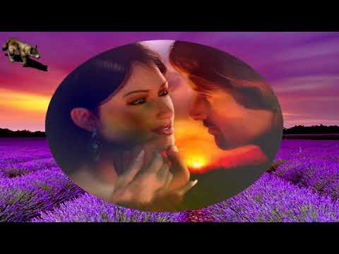 ZLATNI PRSTI-IMA NESTO U TEBI (TEKST)