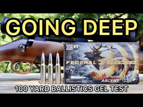 Federal .308 175gr Terminal Ascent (Is It Accurate?)