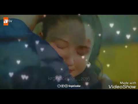 Kirgin cicekler songül gokce akyildis icin bir viydeo