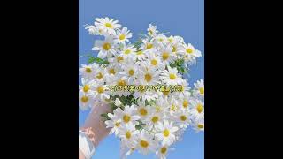 너가 있으니까 내 생명은 빛나는 거야 💙 SEKAI NO OWARI (세카이노오와리) - ユメ (유메) 꿈  가사 번역/노래 추천