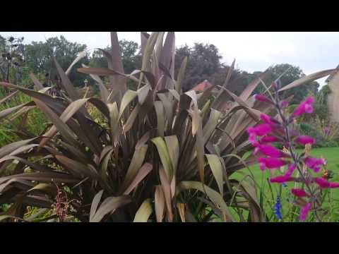 2014.09.13 Packwood House and Gardens