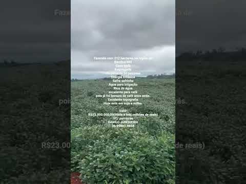 Excelente oportunidade Fazenda dupla aptidão na região de Bambui/MG