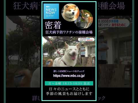 犬がワクチンで死ぬことはありますか?