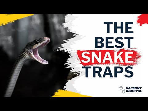 Top Snake Traps That Actually Work - Protect Your Home and Garden!