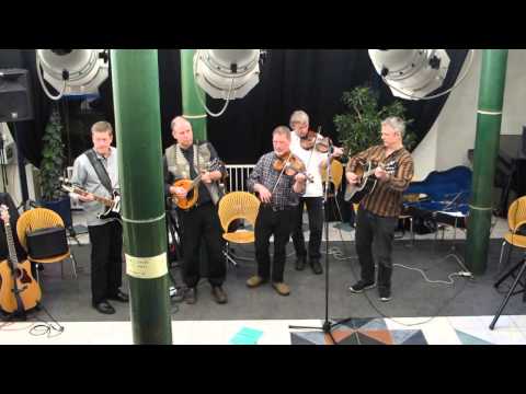 Rummelpot spiller Skovblomsten (Metsäkukkia) - Ramslag i Metronomen 2015-02-13