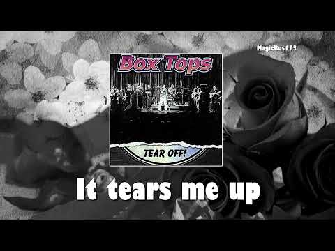 The Box Tops - It Tears Me Up