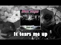 The Box Tops - It Tears Me Up