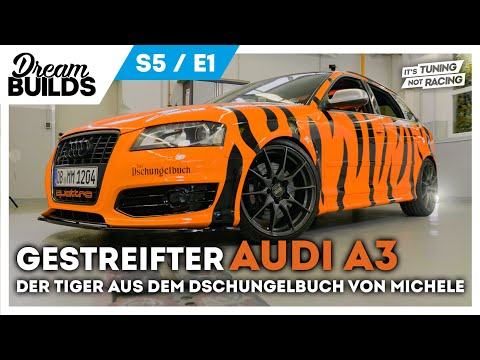 DreamBuilds S5E1 - Gestreifter AUDI A3 - der Tiger aus dem Dschungelbuch von Michele