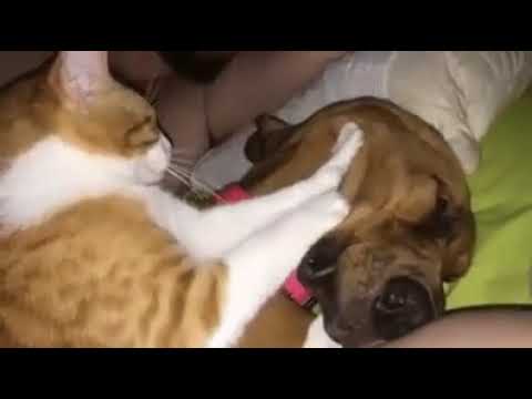 😳😩  Oddio ke stress...urge un buon massaggio!