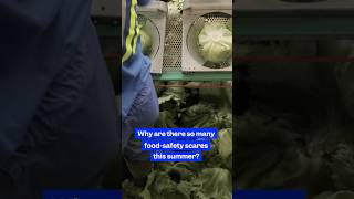 Thumbnail for Why does it feel like everything is being recalled this summer? #foodsafety  #foodrecalls
