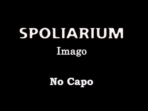 Spolarium - Imago