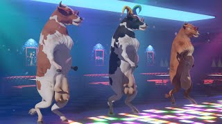 FUNNY COW DANCE #2 │ Cow Song & Cow Videos 2