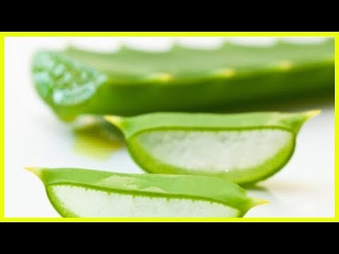 Das Beinbad gribok Solidol bei gribke der Nägel