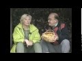 TV4 Trailers Och Reklamvinjett 1998 08 28