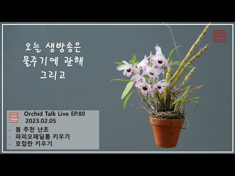 , title : '[화이 오키드 Live EP.80] 물주기의 모든것, 봄 추천 난초'