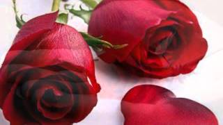 Heston - Love Junkie