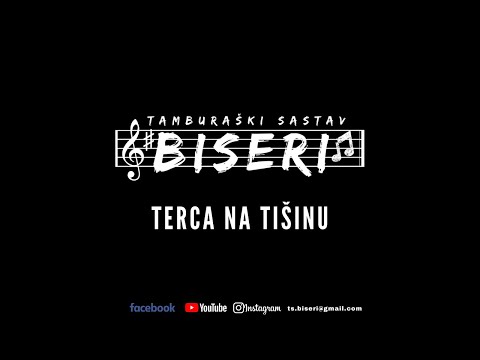 TS BISERI - Terca na Tišinu (cover)
