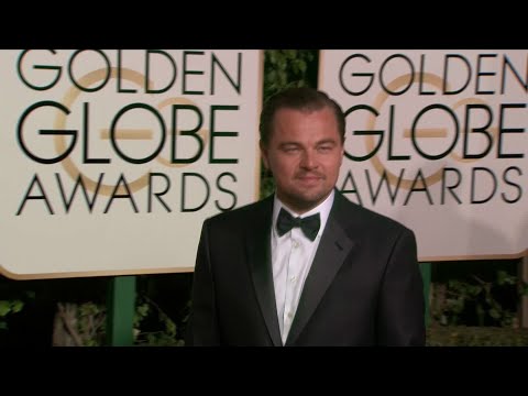 Leonardo DiCaprio Pledges $5 Million to Fight Amazon Fires