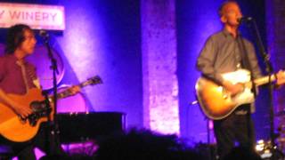 Cold Comfort Flowers (NYC)