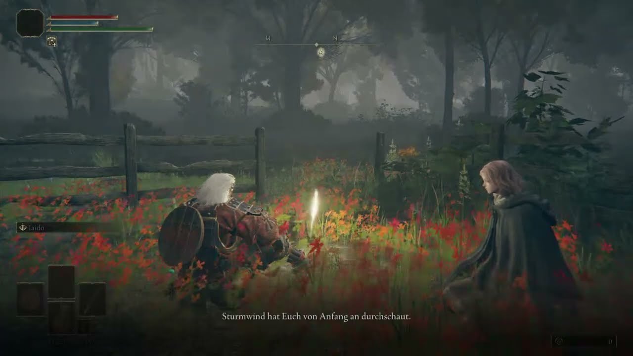 Testen danke miyazaki