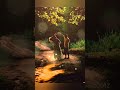 Tamil Song Love Lovestatus Melody Tamilmelody Shortvideo Romantic Music Shorts Trending