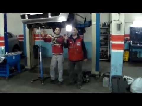 We Are Happy From Frignano (CE)