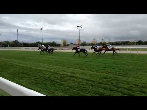 Nyertes futam - BigFoot - helyre, tétre, befutóra