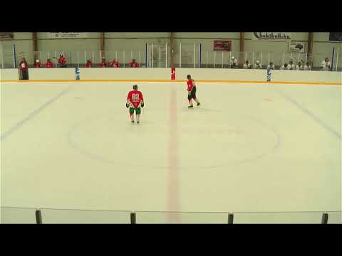 OBIVB 27 ESMTK Jégmadarak - Jégkert SE 20201206