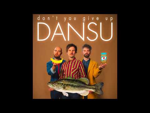 DANSU - DON'T YOU GIVE UP (official audio)