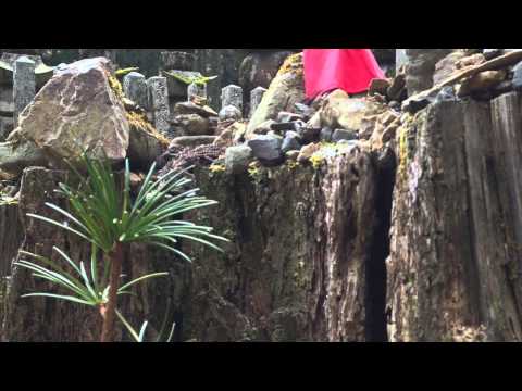 Edgar James - place to be