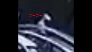 #NIPSEY HUSSLE EXTRA HEAD UNDER HEADWRAP #CIA #NEXIT