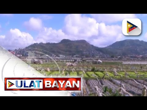 Baguio City, patok sa mga turista ngayong tag-init