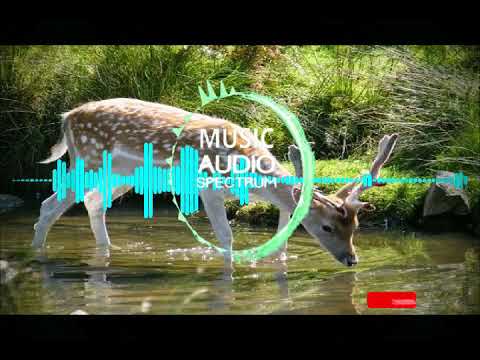 Methosa crew Seperti rusa rindu Audio spectrum+liryc (Rap version)