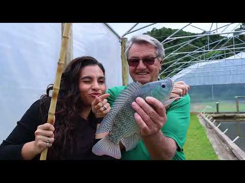 DESCOBRINDO O PARANÁ | O TURISMO EM MANDIRITUBA