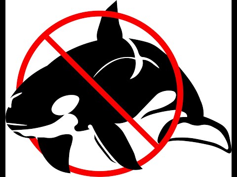 6.1.2.7 CCNA 2 Packet Tracer Part 1