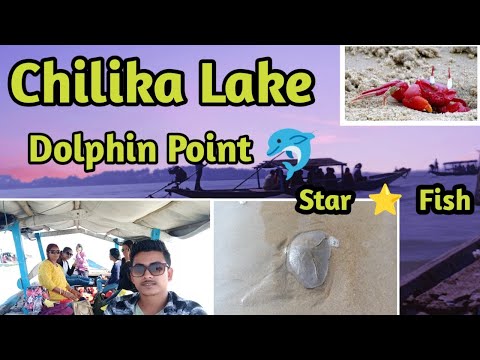 chilika lake in puri || Dolphin Points || Lal Kakra Beach 🏖