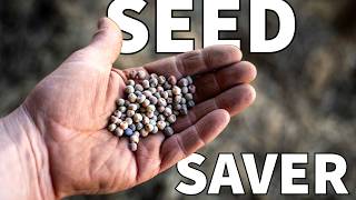 It’s Seed Saving O’Clock