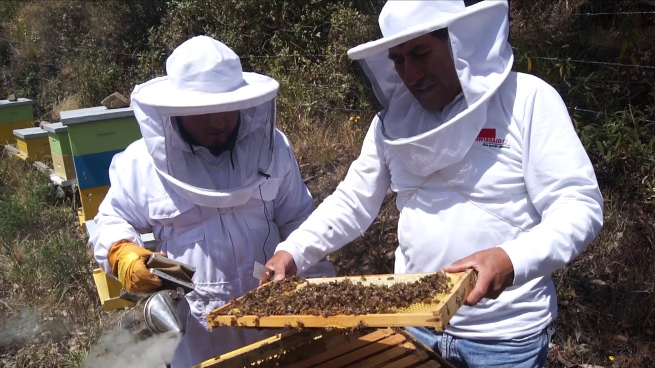 Jovenes promotores de Apicultura en la parroquia de Achupallas-Chimborazo