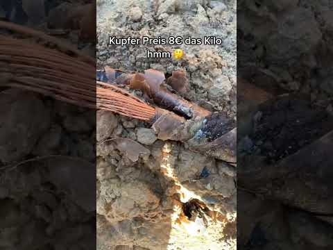 Kupfer Preise steigen #shorts #schrott #kupfer #Cariteztv1400