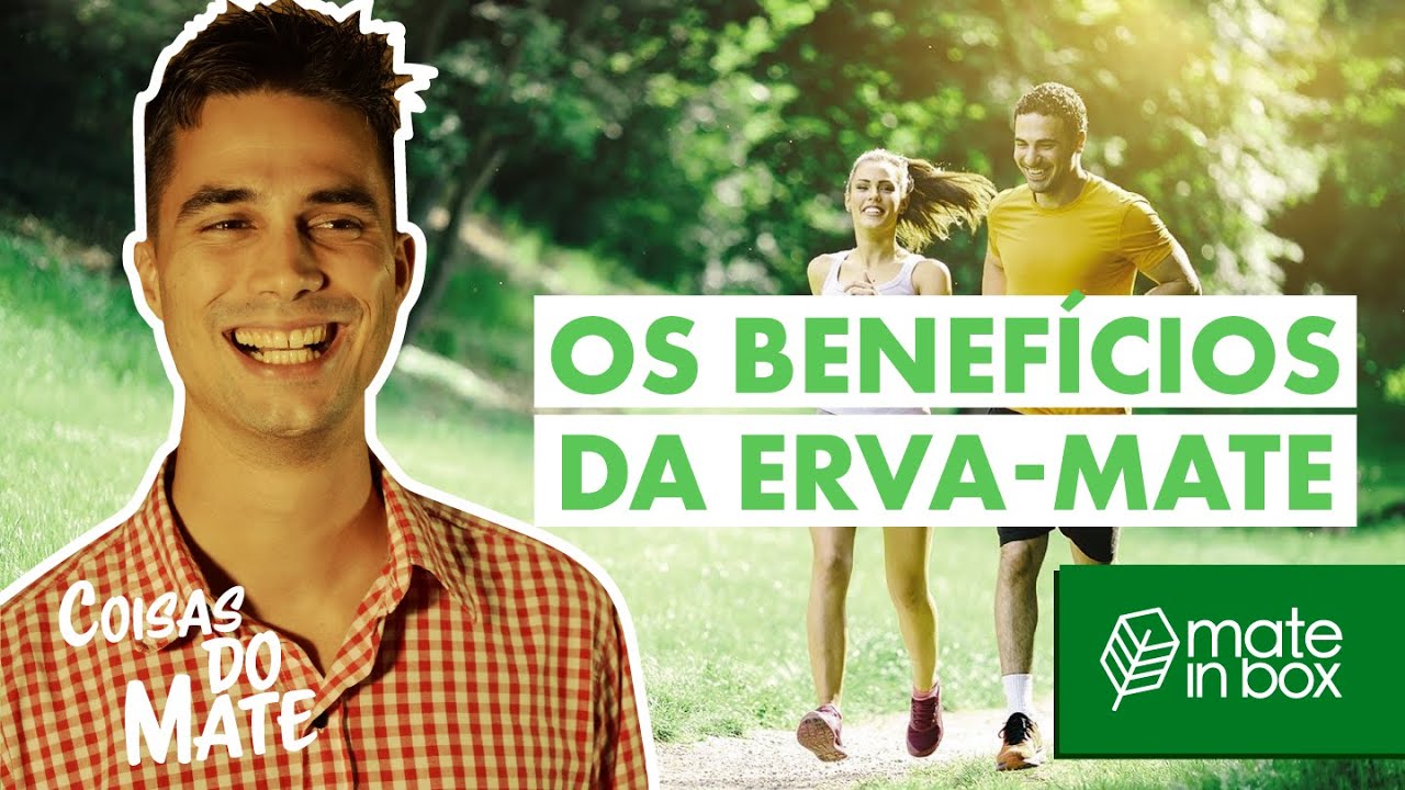 Os Benefícios da Erva-Mate - 9 MOTIVOS PARA COMEÇAR A TOMAR | Coisas do Mate