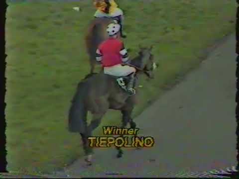 1983 Kaltenberg Pils Handicap Chase Extended Coverage - Liverpool 07-04-1983