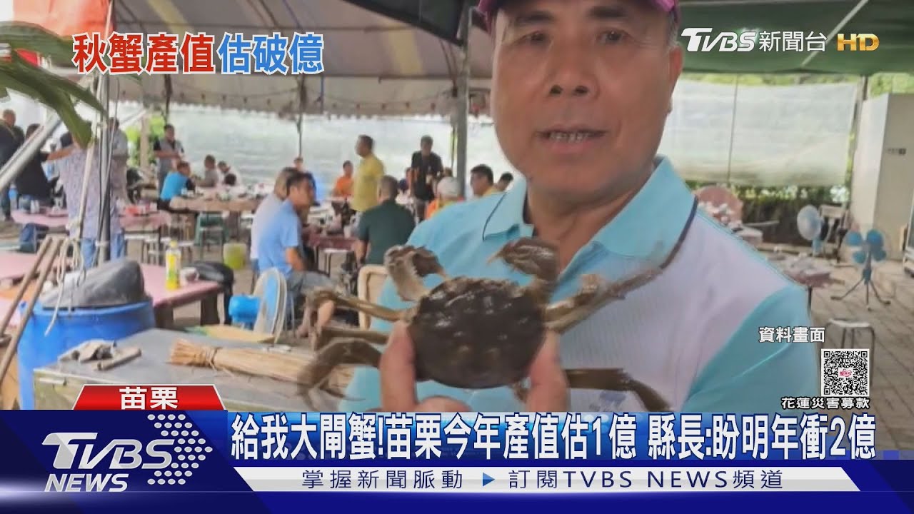 給我大閘蟹!苗栗今年產值估1億 鍾東錦:盼明年衝2億