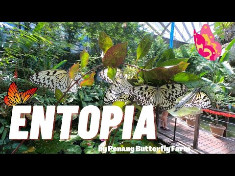 Entopia by Penang Butterfly Farm (2021)
