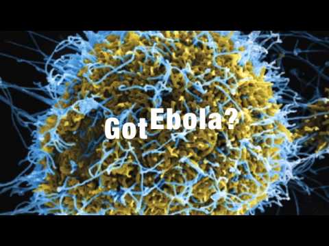 Got Ebola?  (Dick Dale Mix) - Jehovah's Witness Protection Program Parody Song