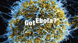 Got Ebola?  (Dick Dale Mix) - Jehovah's Witness Protection Program Parody Song