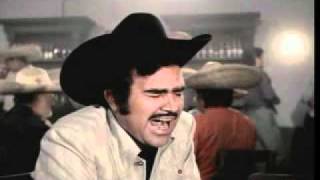 &#39;escuche las golondrinas&#39; vicente fernandez