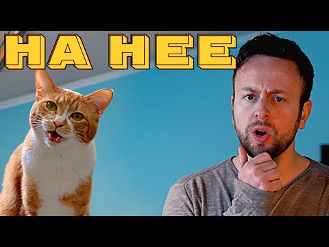 Chai Kichi x Spaul HA HEE (Singing Cat) KIFFNESS style AHENG HAHENG