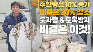 수확량 10% 증가! 비용 30% 감소! 명인의 웃자람 & 도복 방지 노하우