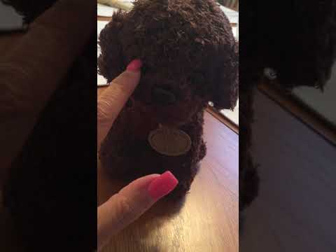 Buena Deal - FALSE ADVERTISEMENT - Image 4