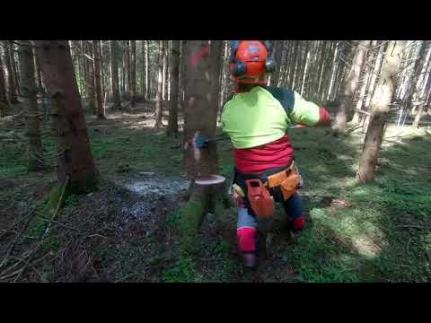 Hängengebliebener Baum - Drehzapfen belassen 🌳🌲